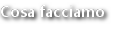Cosa facciamo